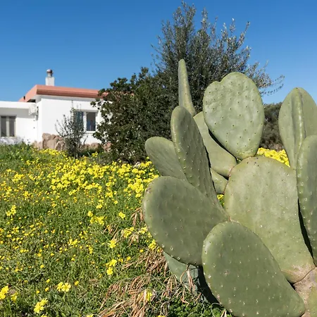 Casa Vacanza Tonzi